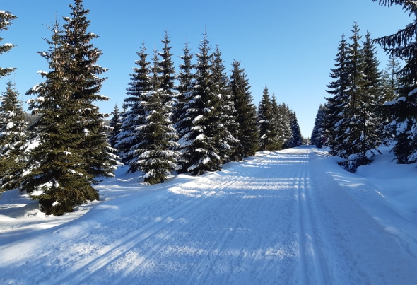 Jizera Mountains